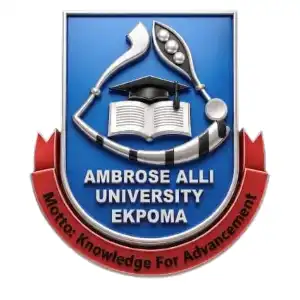 Home 2027 95 Ambrose Alli University