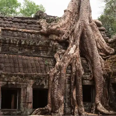 Post conference tour - Cambodia 4 Cambodia-tour-4.webp